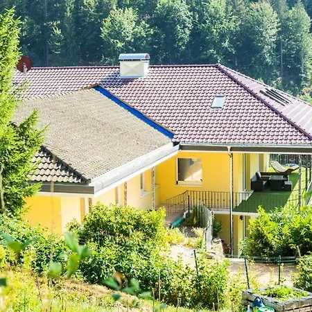 Whirlpool, Billiard, Sauna! Lacher Vakantiehuis *