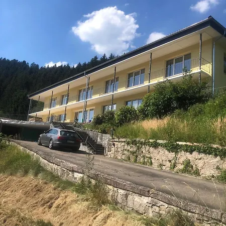 Whirlpool, Billiard, Sauna! Lacher Vakantiehuis Baiersbronn