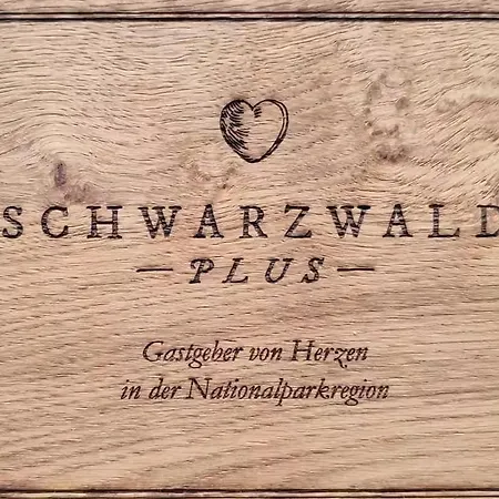 Whirlpool, Billiard, Sauna! Lacher Vakantiehuis